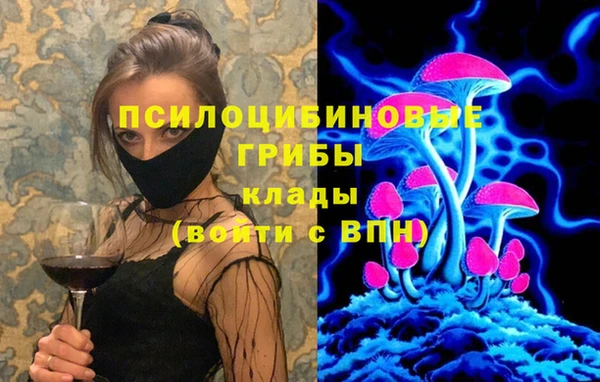 твердый Гусь-Хрустальный