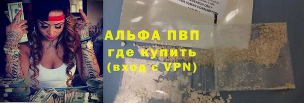 крисы Гусев