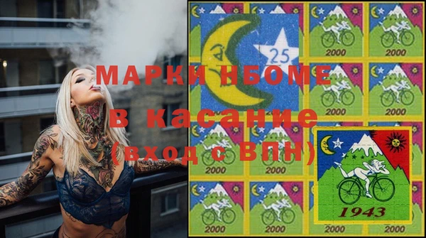 твердый Гусь-Хрустальный