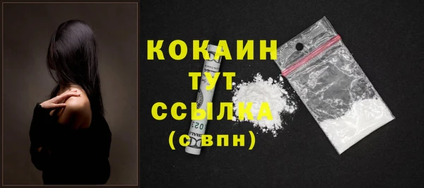 PSILOCYBIN Гусиноозёрск
