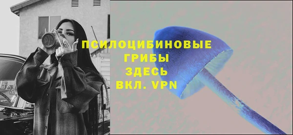 твердый Гусь-Хрустальный