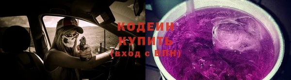 крисы Гусев