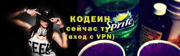 твердый Гусь-Хрустальный
