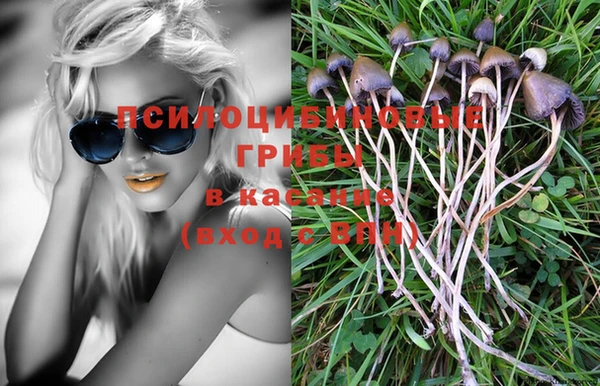 крисы Гусев
