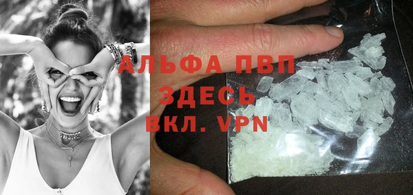крисы Гусев