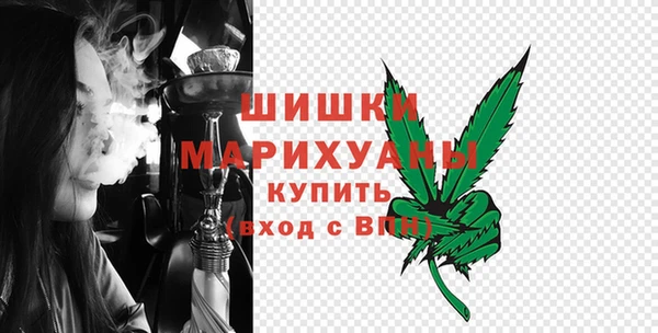 PSILOCYBIN Гусиноозёрск