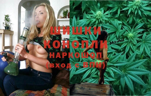 твердый Гусь-Хрустальный