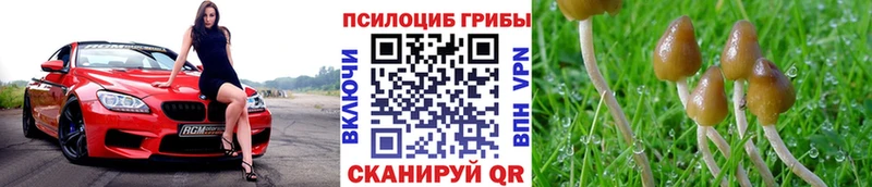 ОМГ ОМГ tor  Плавск  Галлюциногенные грибы Cubensis  как найти наркотики 