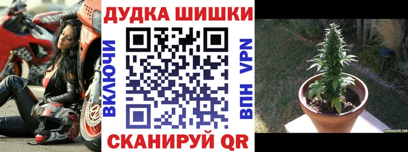 что такое Плавск Бошки марихуана семена